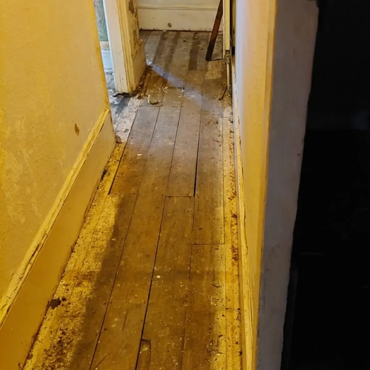 RSC social housing refurbishment and maintenance project 5